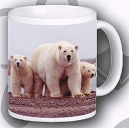 Polar Bears Mug Ceramic Wild Animal Collection Polar Bear Photo Mug Hand Decorated in The UK