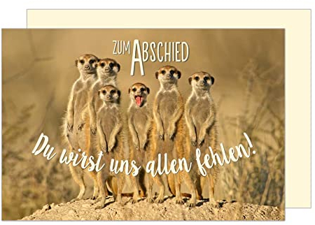 Edition Seidel Premium Glückwunschkarte zum Abschied mit Umschlag. Abschiedskarte Karte Grusskarte Mann Frau Erdmännchen Tierkarte Humor lustig Jobwechsel (AS123 SW023)