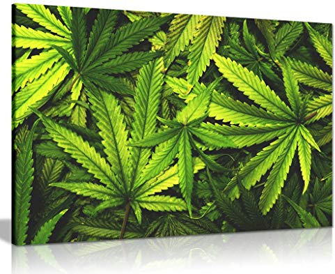 Marijuana Cannabis Leaf Canvas Wall Art Picture Print (24x16)