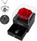 Christmas Gifts for Women,Preserved Enchanted Real Red Rose in Box,Eternal Rose Gift Box with 100 Languages Necklace Gift Set,Gift for Her on Birthday Wedding Anniversary Valentines Gifts for Her