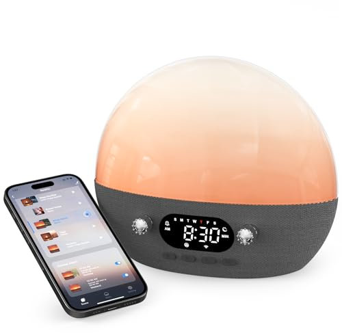 Dekala Macchina Rumore Bianco, Controllo dell'App del Rumori Bianchi con Luce Notturna, 11 Suoni Rilassanti per Dormire per Bambini, Adulti