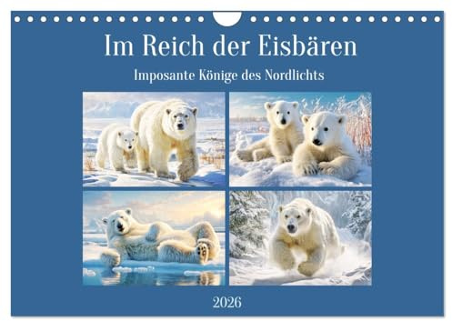 Im Reich der Eisbären. Imposante Könige des Nordlichts (Wandkalender 2026 DIN A4 quer), CALVENDO Monatskalender
