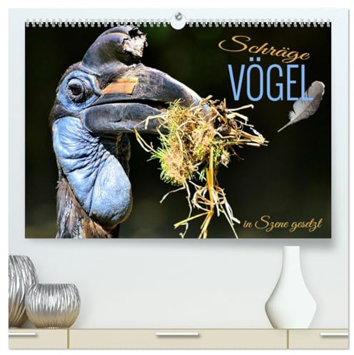 Schräge Vögel in Szene gesetzt (hochwertiger Premium Wandkalender 2026 DIN A2 quer), Kunstdruck in Hochglanz: Faszinierende Bilder skurriler und ... rund um den Globus (CALVENDO Tiere)