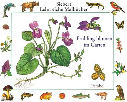 Frühlingsblumen im Garten: Malbuch (Siebert Lehrreiche Malbücher)
