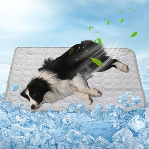 SilverChry Kühlmatte Für Hunde 97 * 68 cm, Kühldecke Hund, Kühlmatte Katze, Ungiftige Kühlpads für Haustiere, Waschbare Kühlmatte Für Haustiere, Kann im Innen- und Außenbereich Verwendet Werden