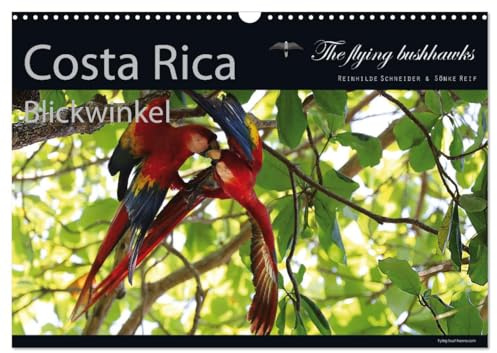 Costa Rica Blickwinkel 2026 (Wandkalender 2026 DIN A3 quer), CALVENDO Monatskalender: Costa Rica - flying bushhawks Blickwinkel Kalender (CALVENDO Orte)