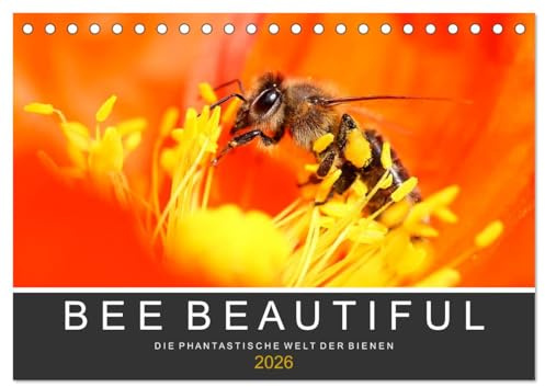 Bee Beautiful - Die phantastische Welt der Bienen (Tischkalender 2026 DIN A5 quer), CALVENDO Monatskalender: Brillante Nahaufnahmen von Bienen im heimischen Garten (CALVENDO Tiere)