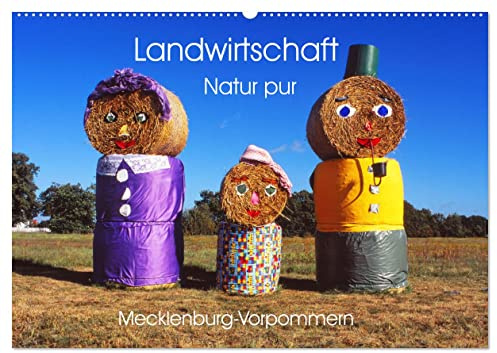 Landwirtschaft Natur pur Mecklenburg-Vorpommern (Wandkalender 2026 DIN A2 quer), CALVENDO Monatskalender: Landschaft aus einem anderem Blickwinkel betrachten. (CALVENDO Natur)