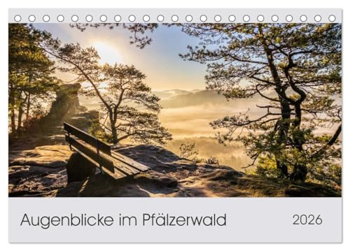 Augenblicke im Pfälzerwald (Tischkalender 2026 DIN A5 quer), CALVENDO Monatskalender: Wunderbare Augenblicke im Pfälzerwald, eingefangen zum Träumen. (CALVENDO Natur)
