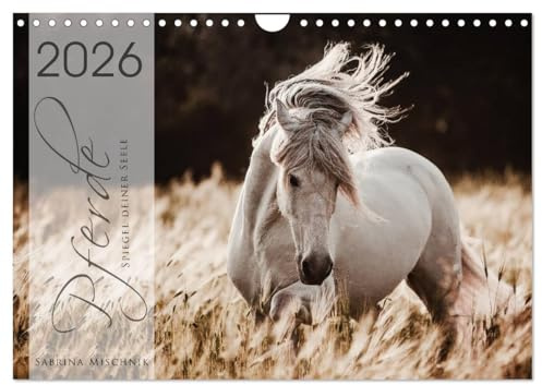 Spiegel deiner Seele (Wandkalender 2026 DIN A4 quer), CALVENDO Monatskalender: Lassen Sie sich entführen in die Faszinierende Welt der Pferde (CALVENDO Tiere)
