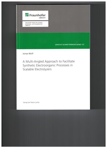 A Multi-Angled Approach to Facilitate Synthetic Electroorganic Processes in Scalable Electrolyzers (Umsicht - Schriftenreihe)