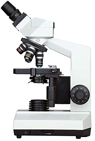 3B Scientific U30803 Microscopio Digitale Binoculare, con Videocamera Incorporata