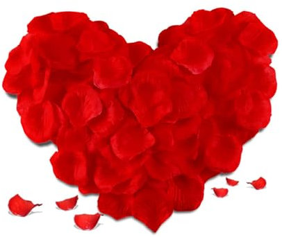 ZAMXHUG petale de Rose Rouge - 1000 pcs Pétales de Rouges Artificiels, Petale Rouge, Petale de Rose - Mariage, Saint Valentin, Centre de Table, Anniversaire, Ambiance Romantique