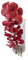 Qinlenyan Phalaenopsis artificiale 9 teste ramo falena orchidee 9 teste realistico fiore finto seta festa di nozze casa ufficio tavolo centrotavola finto floreale rosso scuro