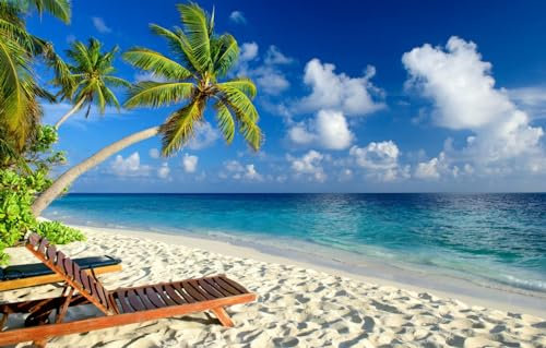 Puzzle 2000 Teile, Tropischer Strand Palmen Entspannendes Meer Puzzle Heimdekoration 70x100CM