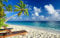 Puzzle 2000 Teile, Tropischer Strand Palmen Entspannendes Meer Puzzle Heimdekoration 70x100CM
