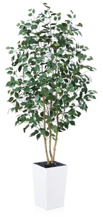 VeriNatural Artificial Ficus Tree 180 cm - Lifelike Fake Plant with Real Wooden Trunk, Green Silk Leaves - UV Resistant Faux Tree with White Taper Planter for Home Indoor and Outdoor Decoration, VN129