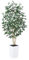 VeriNatural Ficus Artificial 180 cm Planta Artificial Grande - Árbol Decorativo Realista con Hojas de Seda, Tronco Natural y Maceta Blanco- Ideal para Hogar Jardín Oficina, Interior y Exterior, VN129