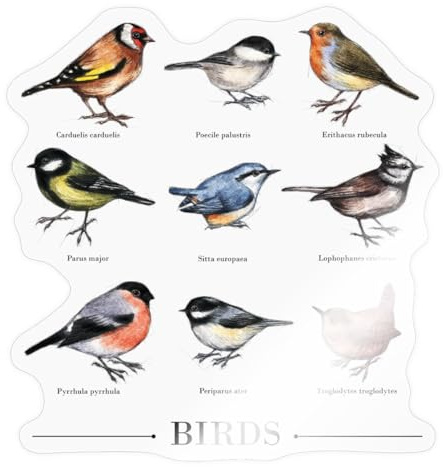 Vögel Der Vintage Flora Sticker Aufkleber