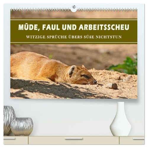 Müde, faul und arbeitsscheu (hochwertiger Premium Wandkalender 2026 DIN A2 quer), Kunstdruck in Hochglanz: Schwache Momente humorvoll verpackt (CALVENDO Spass)