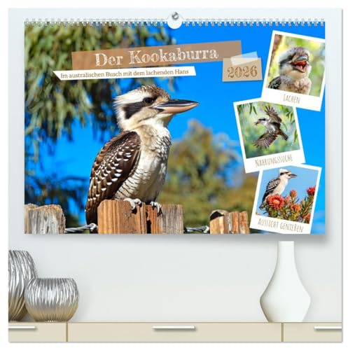 Der Kookaburra - Im australischen Busch mit dem lachenden Hans (hochwertiger Premium Wandkalender 2026 DIN A2 quer), Kunstdruck in Hochglanz: ... Kookaburra-Leben im Outback (CALVENDO Tiere)