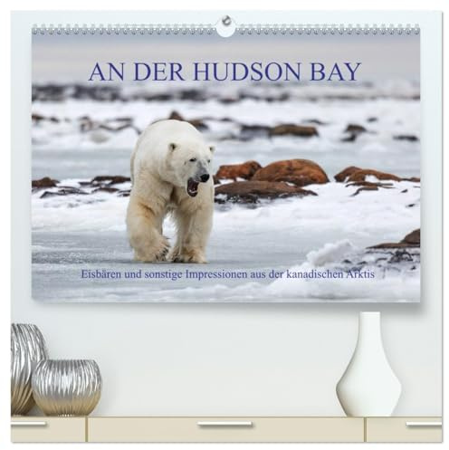 AN DER HUDSON BAY (hochwertiger Premium Wandkalender 2026 DIN A2 quer), Kunstdruck in Hochglanz: Expedition in die kanadische Provinz Manitoba (CALVENDO Natur)