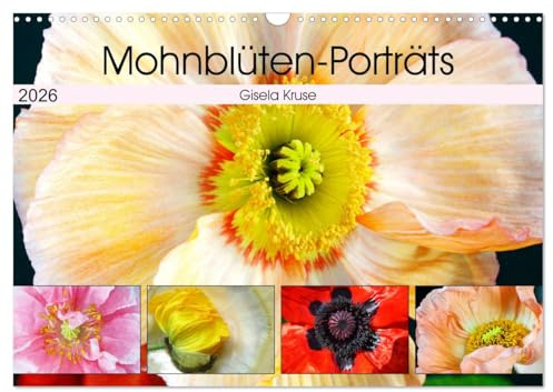 Mohnblüten-Porträts (Wandkalender 2026 DIN A3 quer), CALVENDO Monatskalender: Mohnblumen - interessant und ausdrucksstark (CALVENDO Natur)