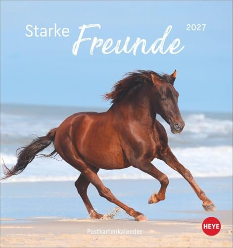 Pferde Postkartenkalender 2027 - Starke Freunde: Pferdefotografin Sabine Stuewer setzt die edlen Tiere in einem kleinen Kalender perfekt in Szene. Hochwertiger Postkarten-Fotokalender.