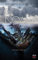 Noah: Ein Bibel-Thriller