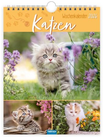 Trötsch Wochenkalender zum Hängen Katzen 2026: Wandkalender