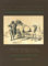 Das arabische Pferd - Dr. Hans-Joachim Nagel