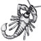 MATERIA by Matthias Wagner Herrenschmuck Kettenanhänger Herren Sternzeichen Skorpion 925 Silber Anhänger Männer schwarz mit Kette 70cm #KA-62-K16_70cm