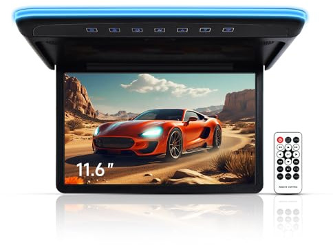 Monitor de 10.1 Pulgadas para la Parte Superior de la Cabeza del Coche, 1080P, vídeo, HD, Digital, TFT, Pantalla Ancha, ultradelgada, para el Techo del Coche, HDMI, IR, FM, USB, SD, sin DVD