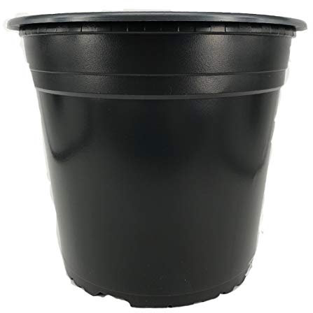 Nutley's Round Modiform 22cm Plastic Plant Pots: 5 litres (Pack of 50)