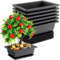 Bonsai-Topf 16.5 cm, 6 Packungen Rechteckige Bonzai Trainingstöpfe mit Ablaufschalen, Kunststoff Blumentopf Feuchtigkeitstabletts, Quadratischer Topf für Wohnzimmer, Büro, Hof, Innenbereich, Balkon