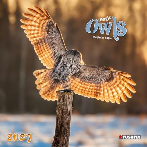 Magic Owls 2027: Kalender 2027 (Wonderful World)
