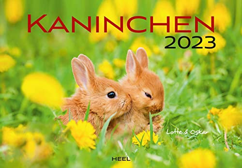 Kaninchen 2023: Der sympathische Kaninchen-Kalender mit den charmanten Namen