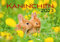 Kaninchen 2023: Der sympathische Kaninchen-Kalender mit den charmanten Namen