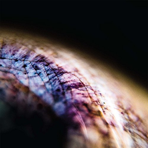 Thrill Jockey / Indigo