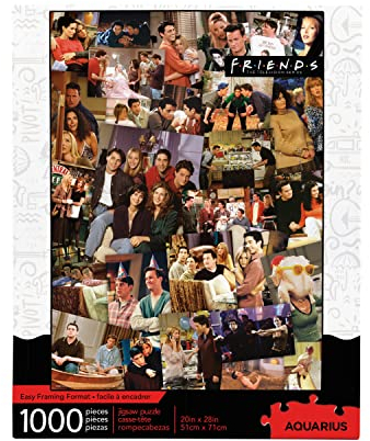 AQUARIUS 65364 Friends Collage 1000 Piece Jigsaw Puzzle