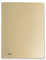 Favorit Sichtbuch Metal 60 Hüllen 22 x 30 Gold Metallic