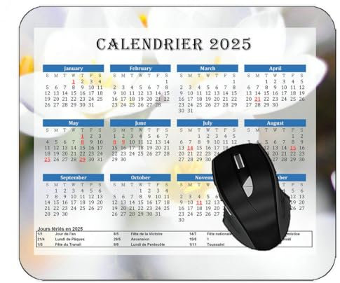 Tapis de Souris Mousepad de Bureau Jeu Basique,2025 Calendrier,Pétales De Lumière De Couleur Tapis de Souris antidérapant,Accessoires de Jeu Mac et PC
