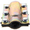 POPETPOP Pipe Clamp for Heavy Duty Plumbing Repairs Leak Sealer for Pe Ppr Steel Iron Pipes Emergency Ready Reusable