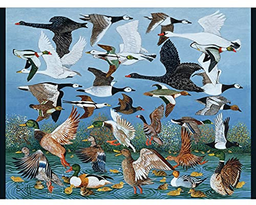 Pat Scott: Taking off 500-Piece Jigsaw Puzzle