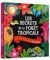 Les secrets de la forêt tropicale - Un livre magique à éclairer