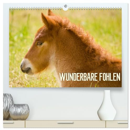 Wunderbare Fohlen (hochwertiger Premium Wandkalender 2026 DIN A2 quer), Kunstdruck in Hochglanz: Verschiedene niedliche Fohlen zeigen sich in ihrer natürlichen Umgebung. (CALVENDO Tiere)