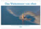 Das Wattenmeer von oben (Wandkalender 2023 DIN A3 quer): Bilder vom ost-friesischen Wattenmeer aus der Vogelperspektive. (Monatskalender, 14 Seiten ) (CALVENDO Natur)