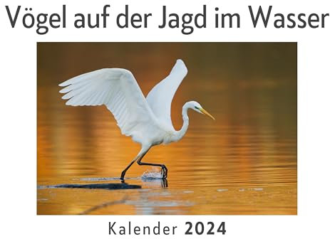 Vögel auf der Jagd im Wasser (Wandkalender 2024, Kalender DIN A4 quer, Monatskalender im Querformat mit Kalendarium, Das perfekte Geschenk)