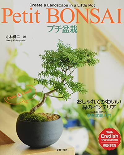 Shinsei Publishing
