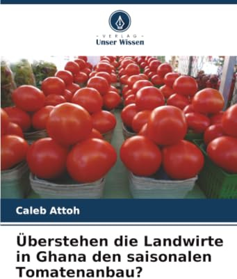 Überstehen die Landwirte in Ghana den saisonalen Tomatenanbau?